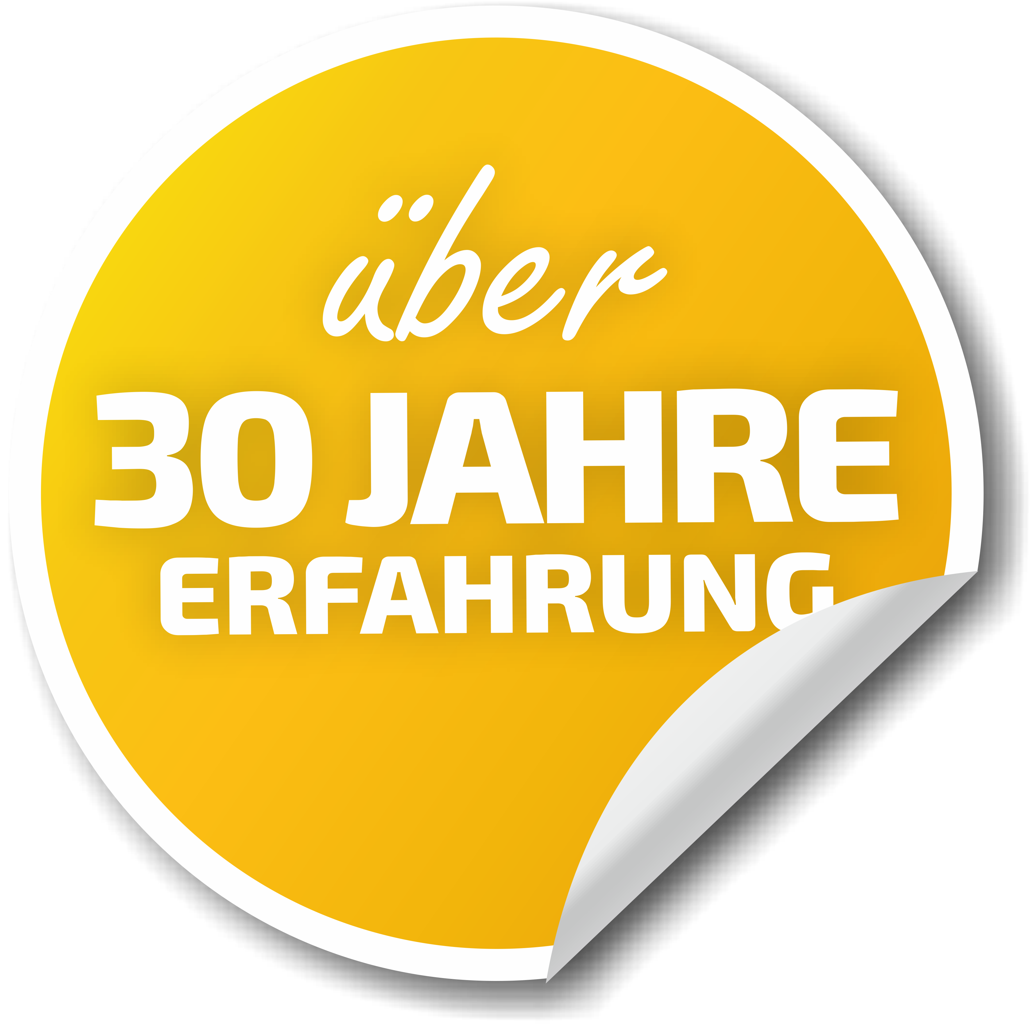 Wordpress Webseiten